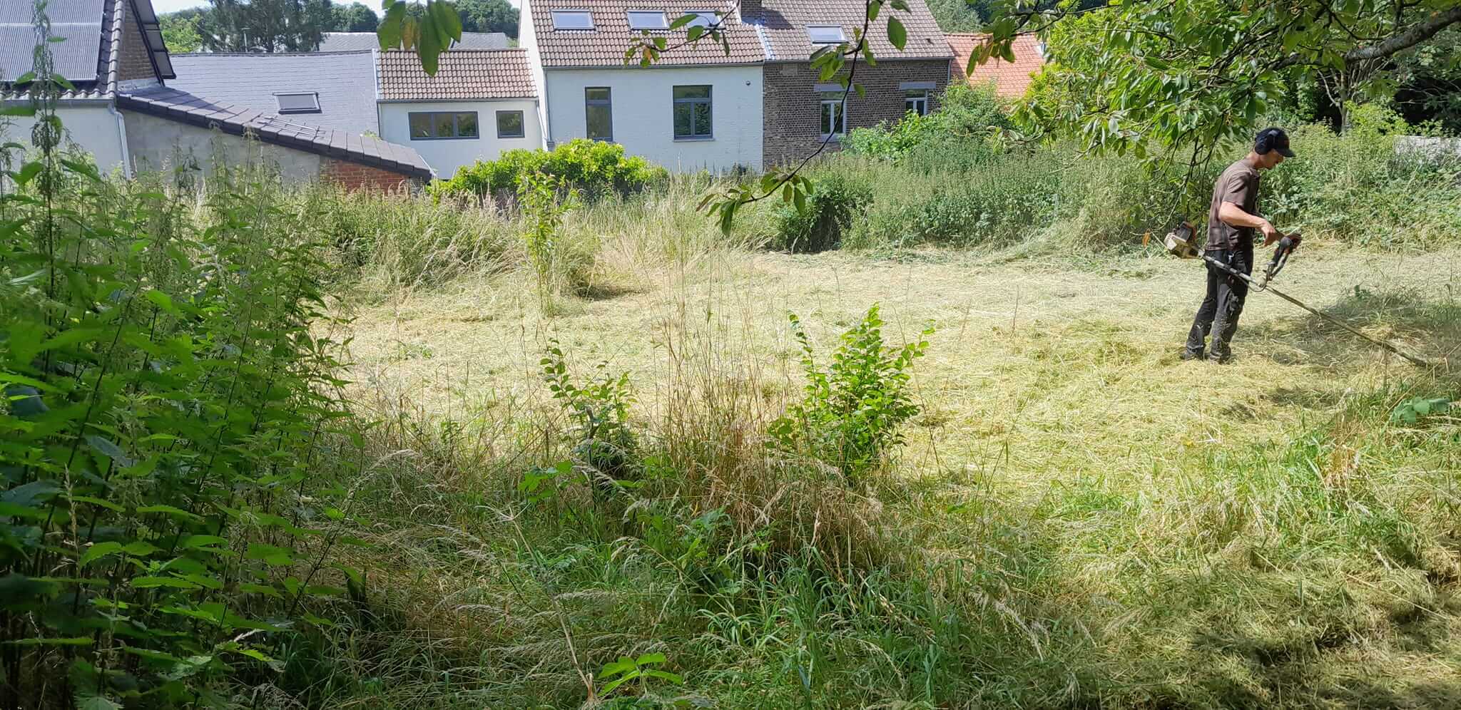Débroussaillage d’un terrain envahi par les hautes herbes