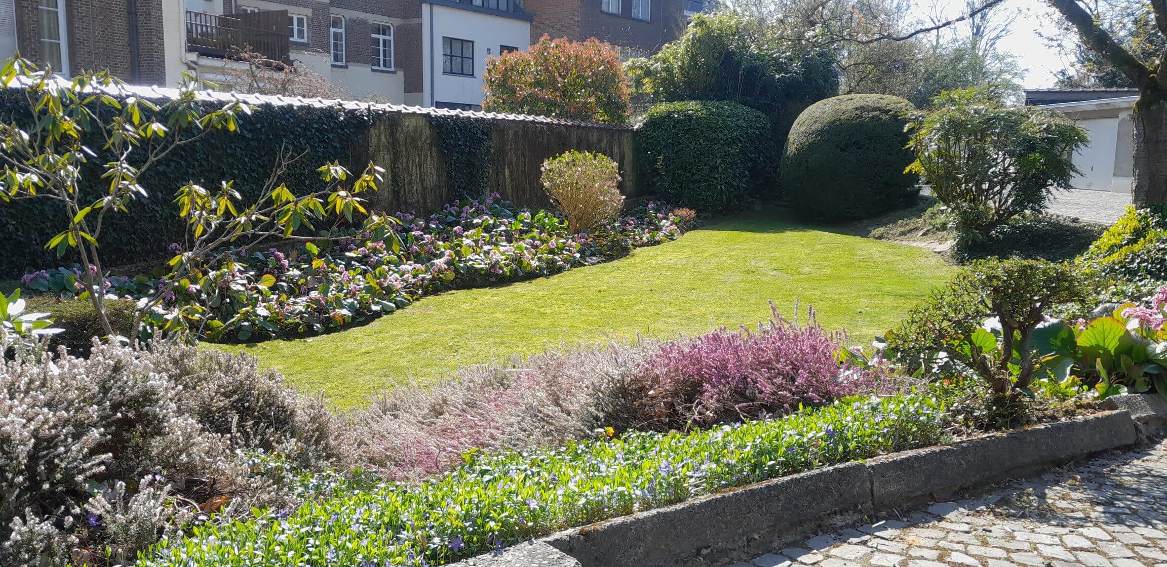 Jardin entretenu par GreenSide Garden : pelouse tondue et massifs fleuris