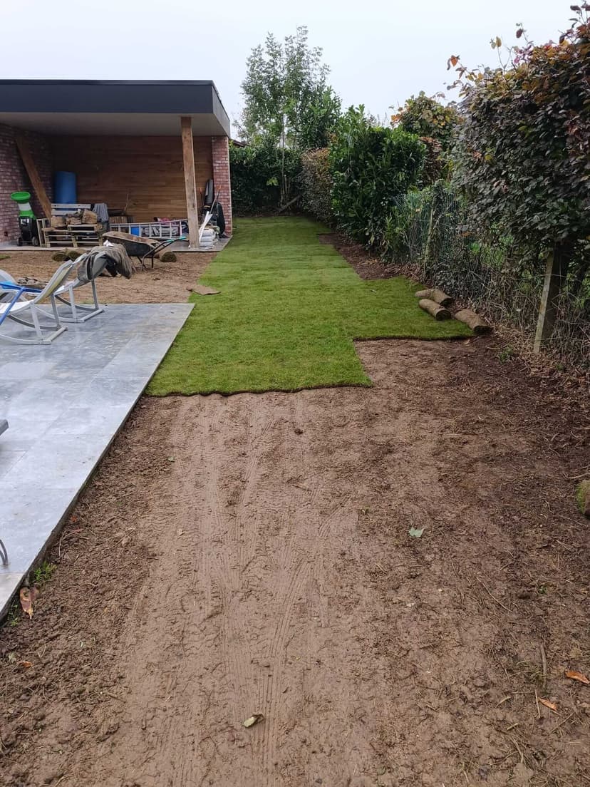 Pose du gazon en rouleau